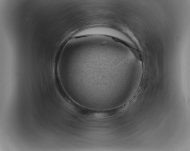 X0000114430154200910161342