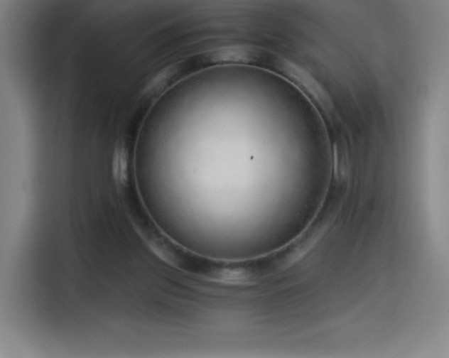 X0000114430157200910161342