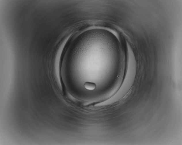 X0000114430158200910161342