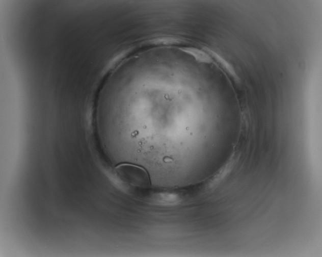 X0000114430159200910161342