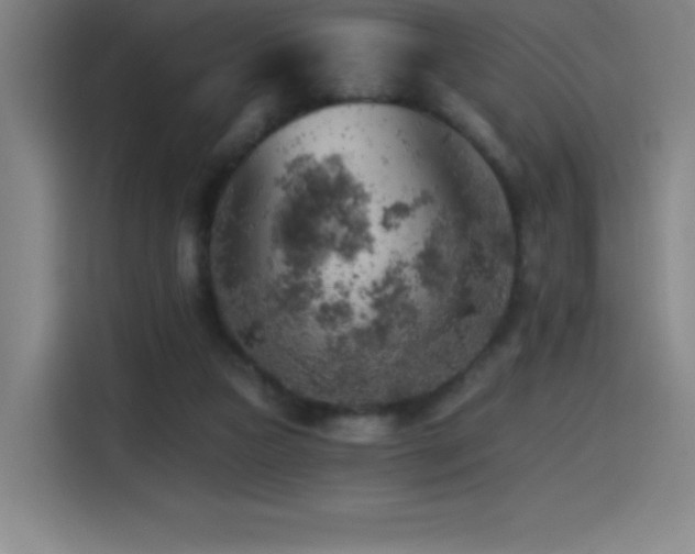 X0000114430161200910161342