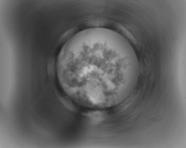 X0000114430163200910161342