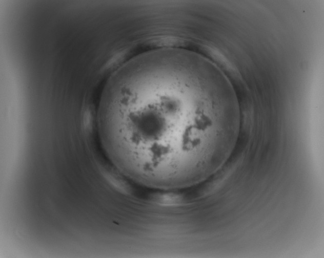 X0000114430165200910161342