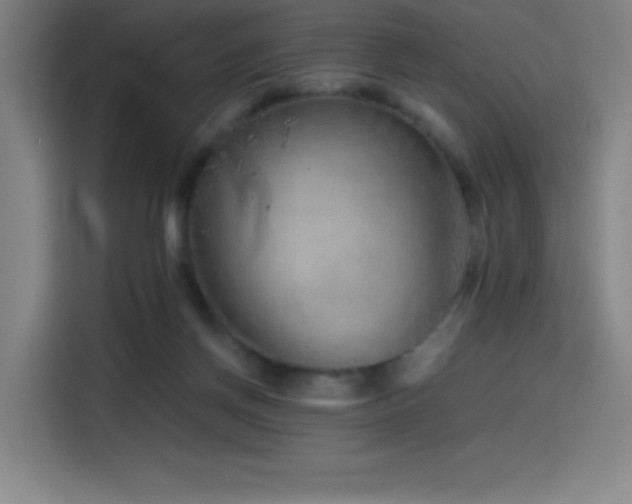 X0000114430166200910161342