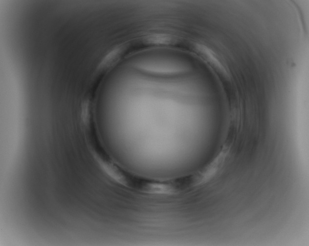 X0000114430167200910161342