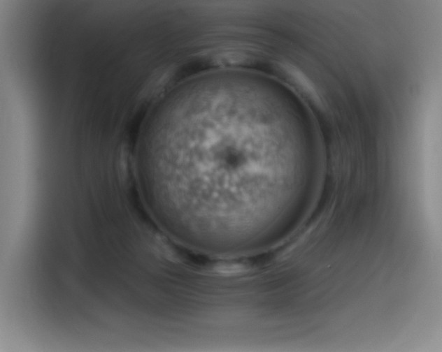X0000114430169200910161342
