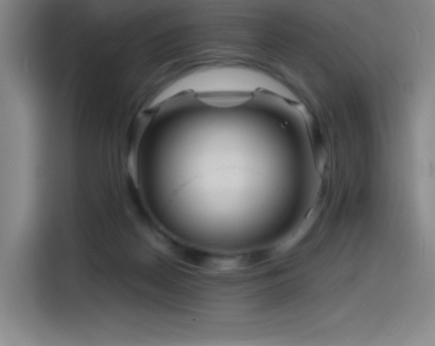 X0000114430170200910161342