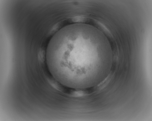 X0000114430171200910161342