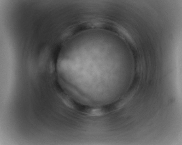 X0000114430173200910161342