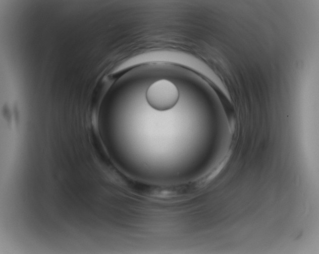 X0000114430174200910161342