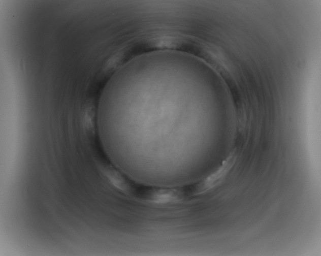X0000114430175200910161342