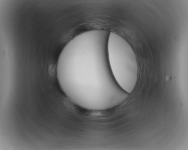 X0000114430177200910161342