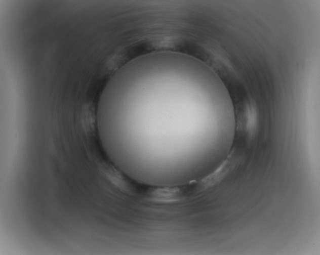 X0000114430179200910161342
