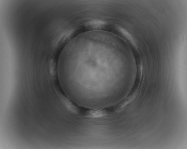 X0000114430181200910161342
