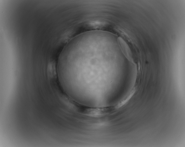 X0000114430182200910161342