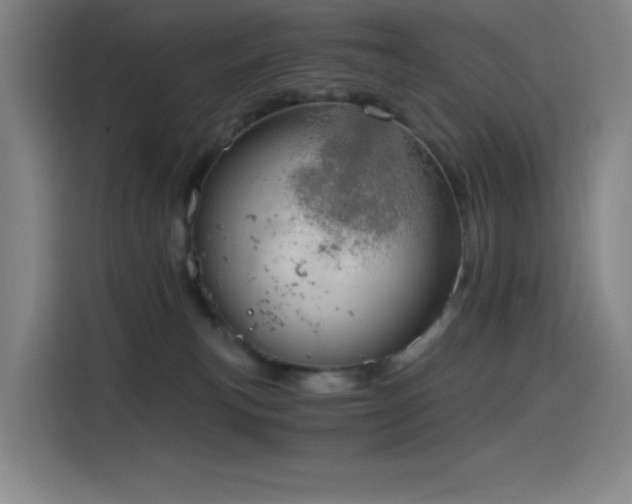X0000114430183200910161342