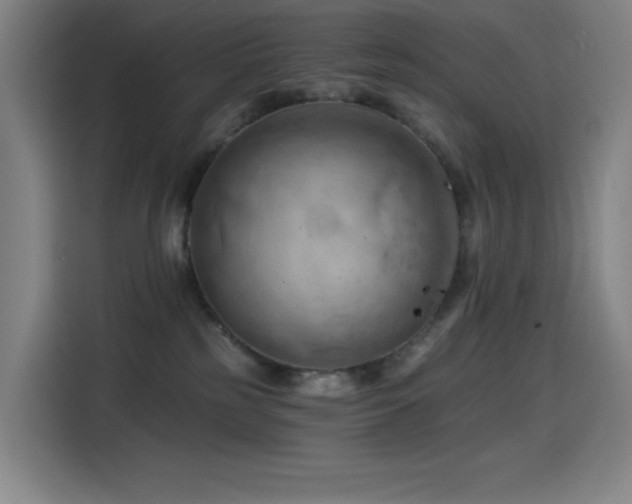X0000114430185200910161342