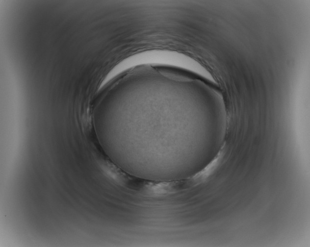 X0000114430186200910161342