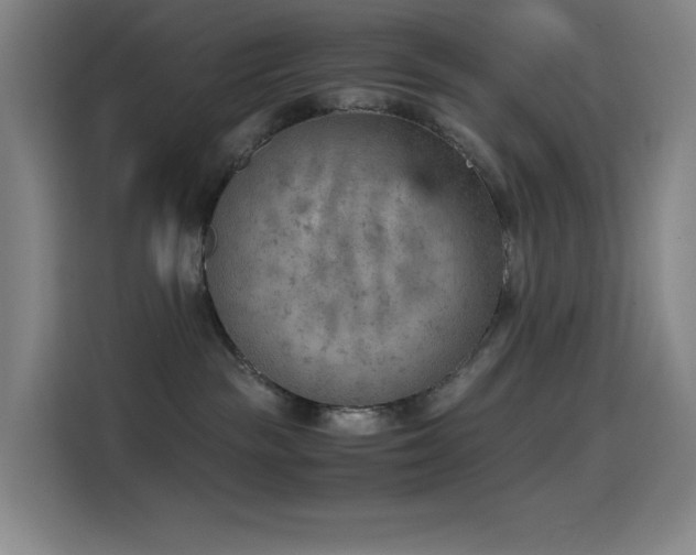 X0000114430189200910161342