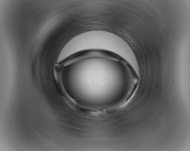 X0000114430190200910161342