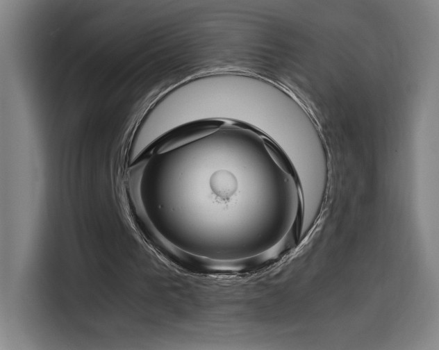 X0000114430193200910161342