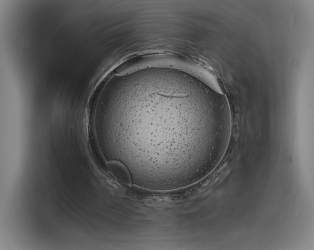 X0000114430194200910161342