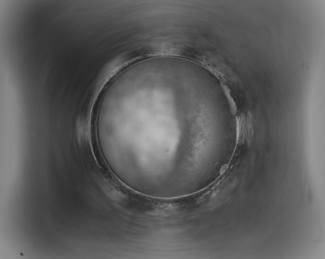 X0000114430195200910161342