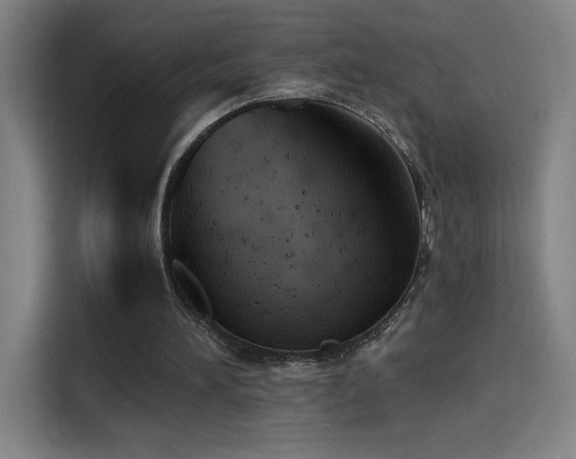 X0000114430196200910161342