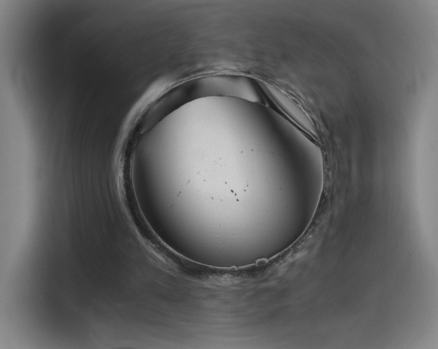 X0000114430197200910161342