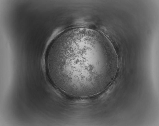 X0000114430198200910161342