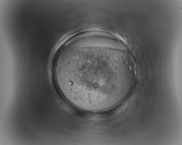 X0000114430199200910161342