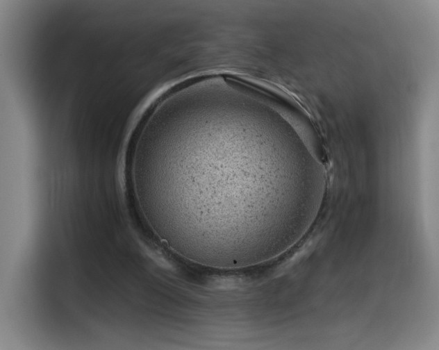 X0000114430200200910161342