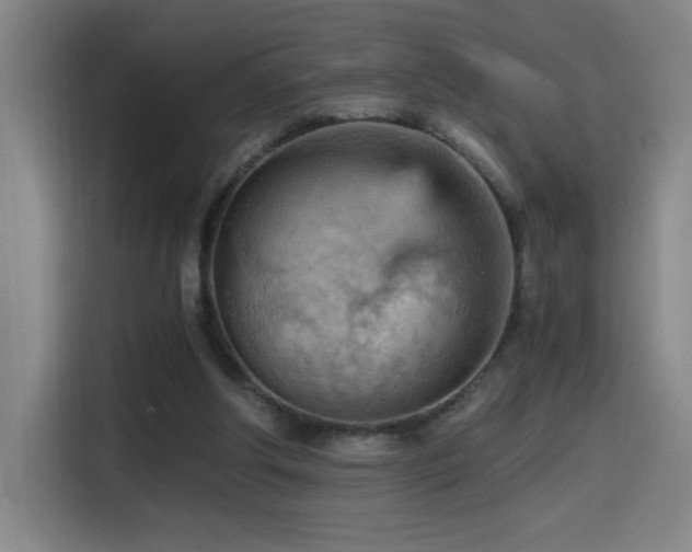 X0000114430202200910161342