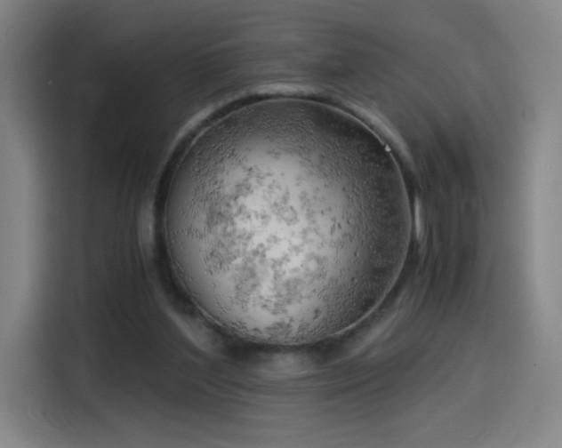 X0000114430204200910161342