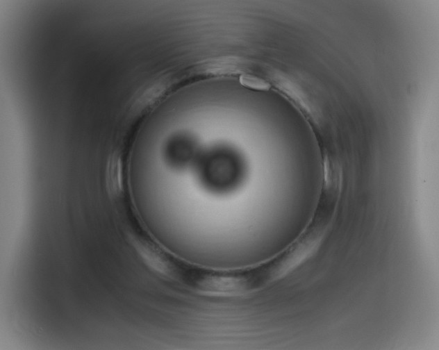 X0000114430205200910161342