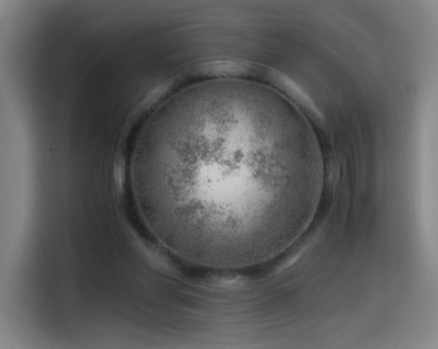 X0000114430206200910161342