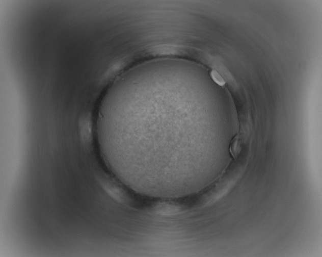 X0000114430207200910161342