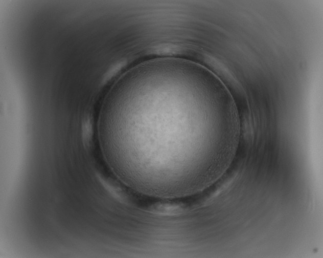 X0000114430208200910161342