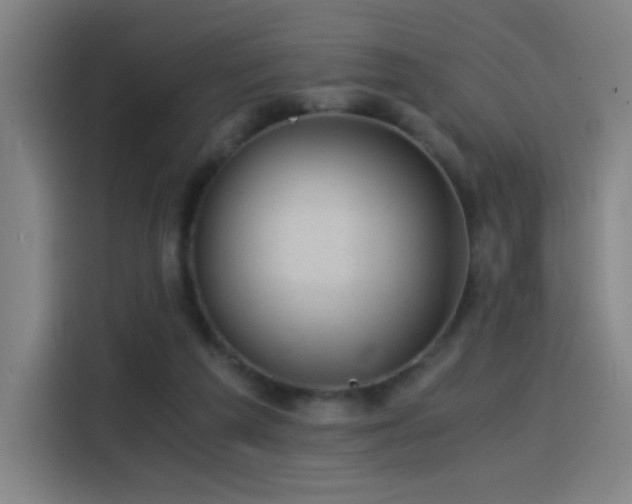 X0000114430209200910161342