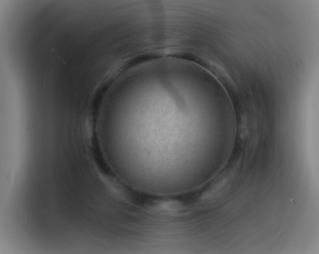 X0000114430210200910161342