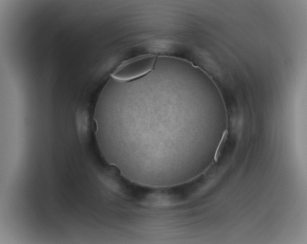 X0000114430211200910161342