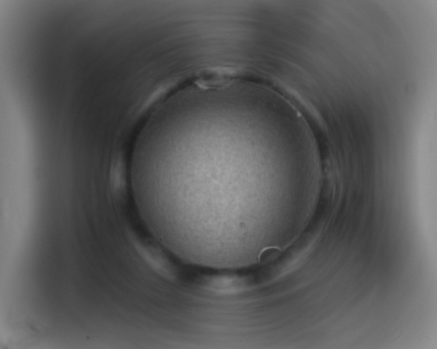 X0000114430212200910161342