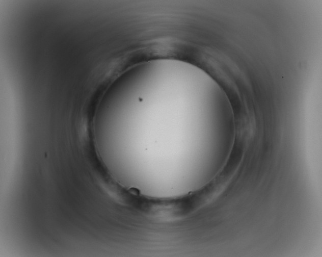 X0000114430213200910161342