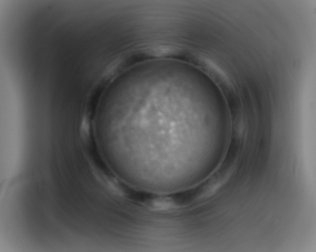 X0000114430214200910161342