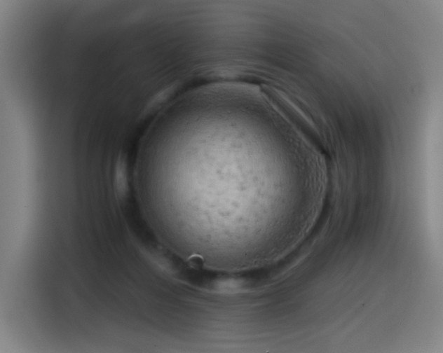 X0000114430216200910161342