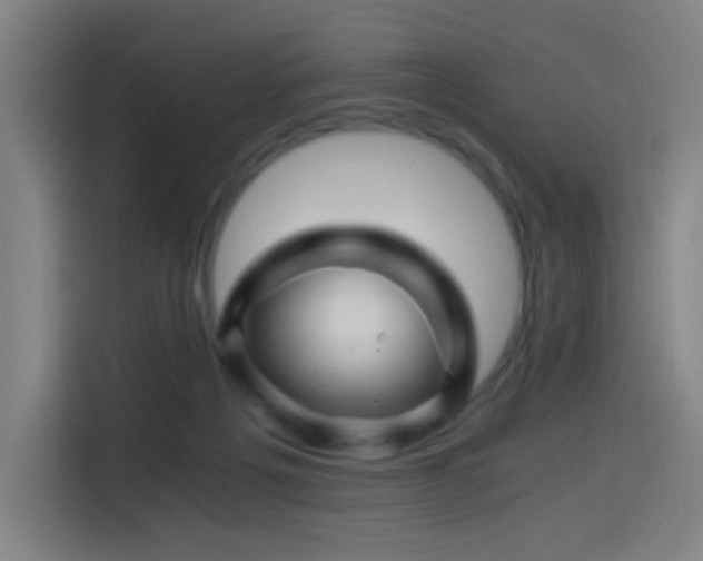 X0000114430217200910161341