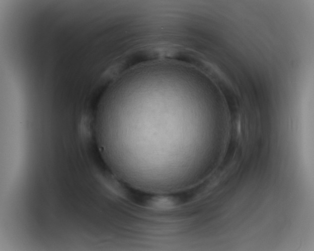 X0000114430218200910161341
