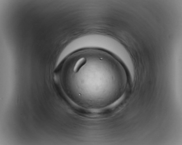 X0000114430219200910161341