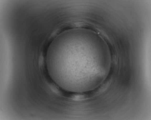 X0000114430220200910161341