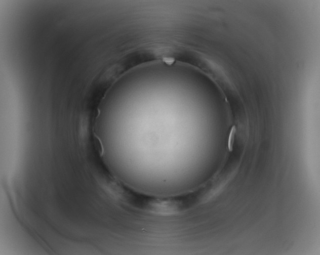 X0000114430221200910161341